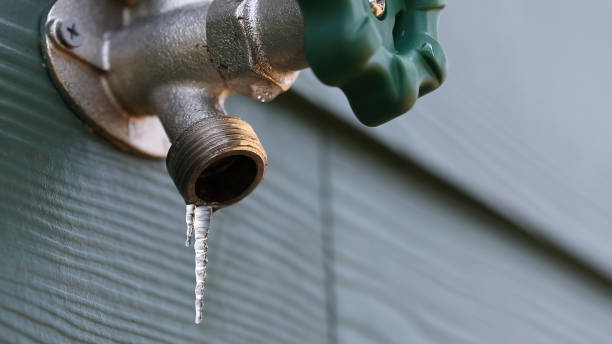 Professional Plumbing in Burley, WA