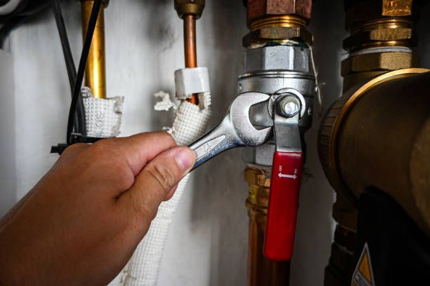 Best Drain Cleaning Services  in Burley, WA